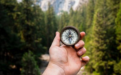 Resetting your executive compass