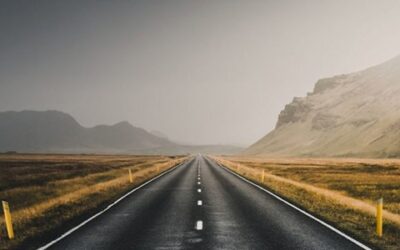 Making Sense of the Road Ahead