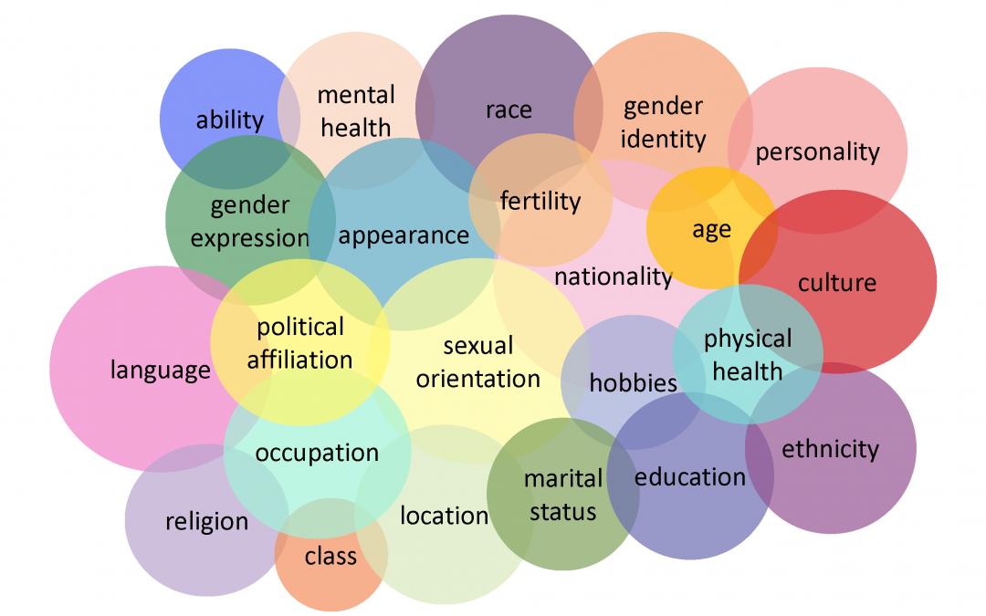 Article image: Intersectionality diagram