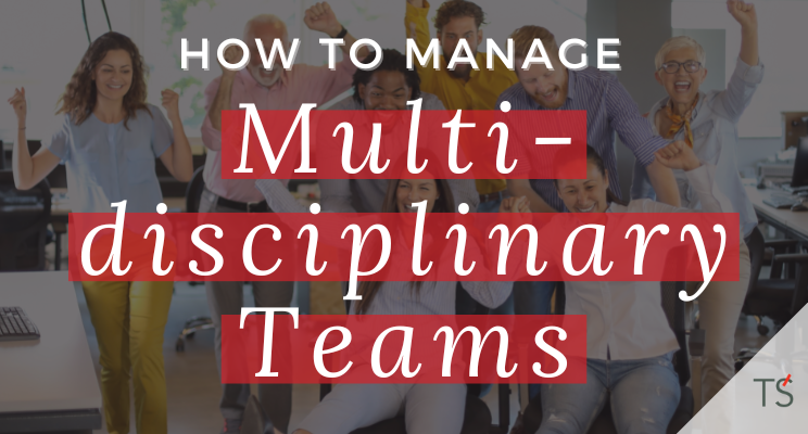 Article image: Managing multi-disciplinary teams