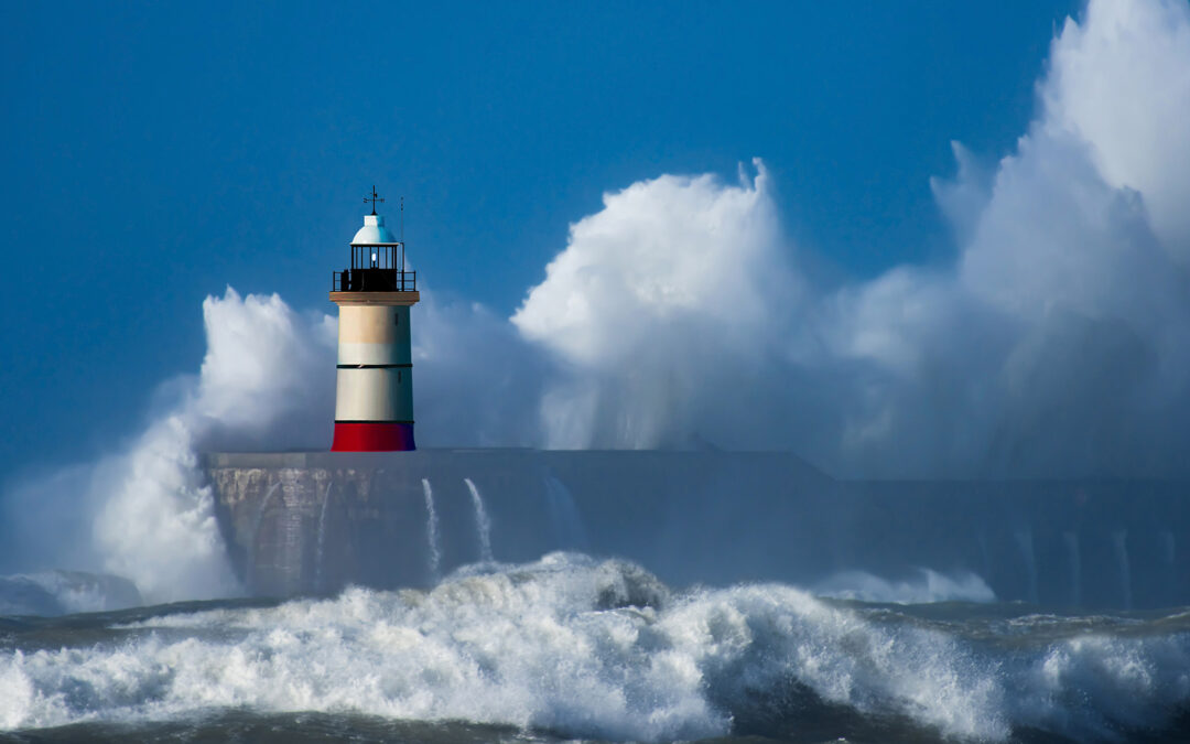 Unlocking Opportunity: How CEOs are Leading Through Uncertainty