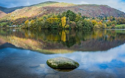 Turning Uncertainty into Advantage: Decoding the Future